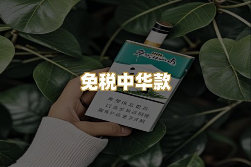 免税中华款